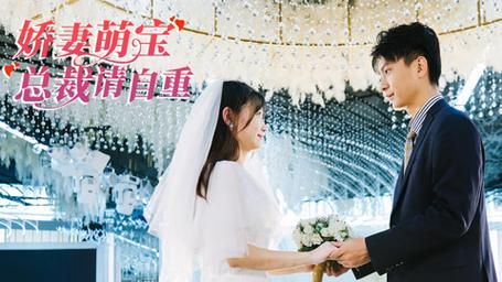 《娇妻萌宝总裁请自重》封面
