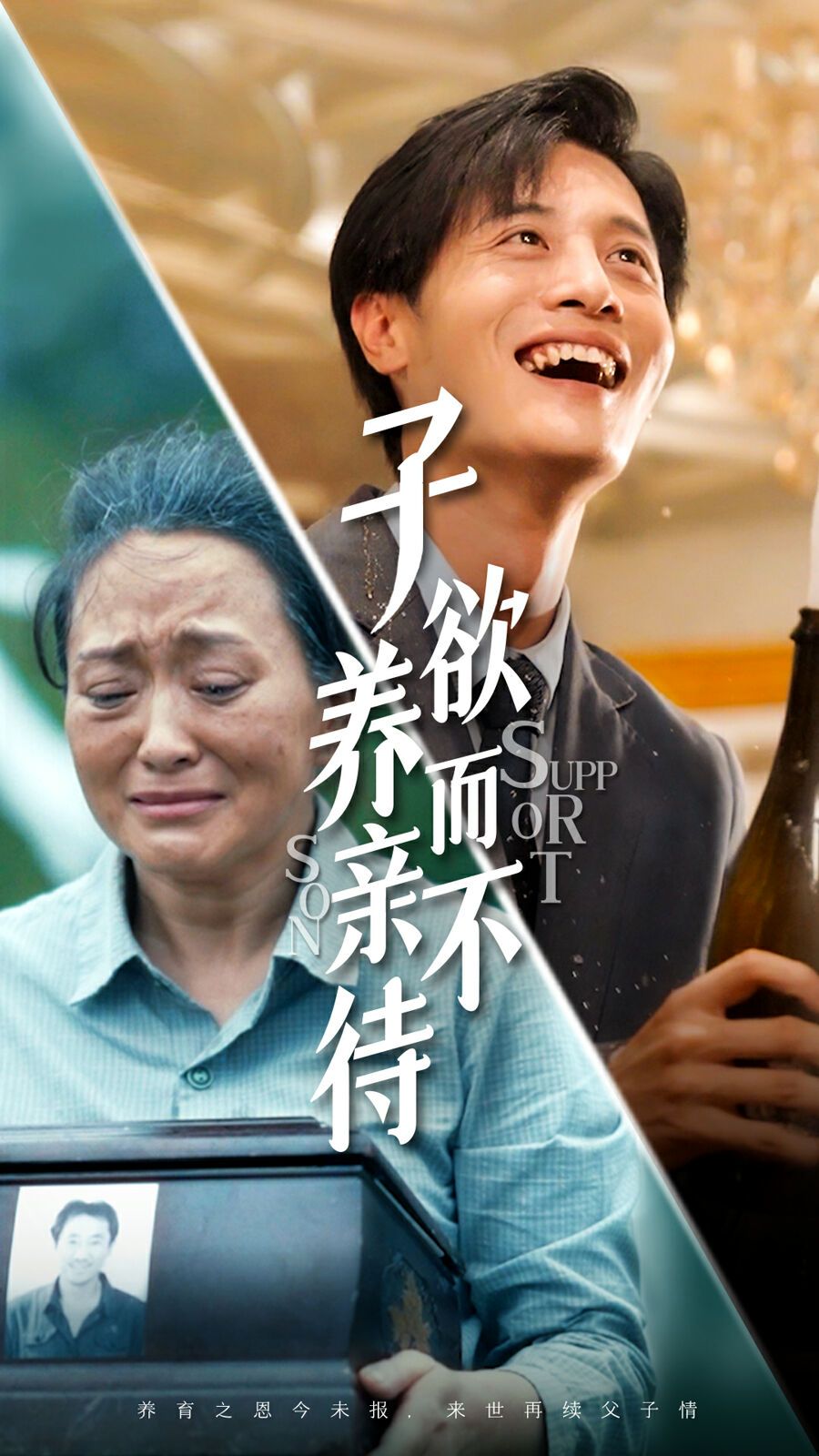 子欲养而亲不待封面