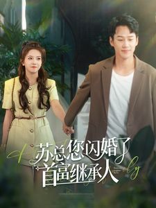 苏总您闪婚了首富继承人封面
