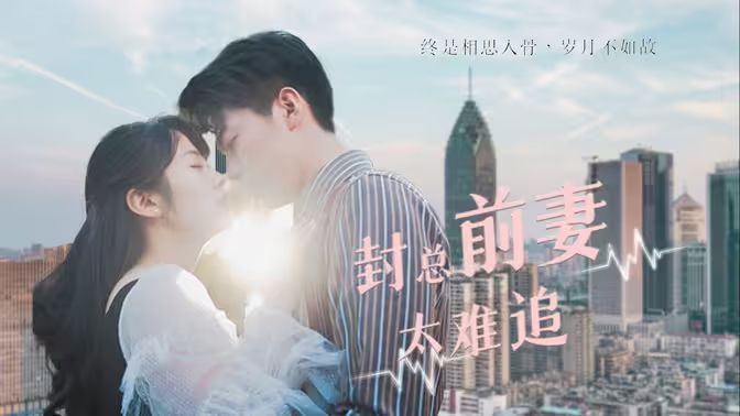 封总前妻太难追封面
