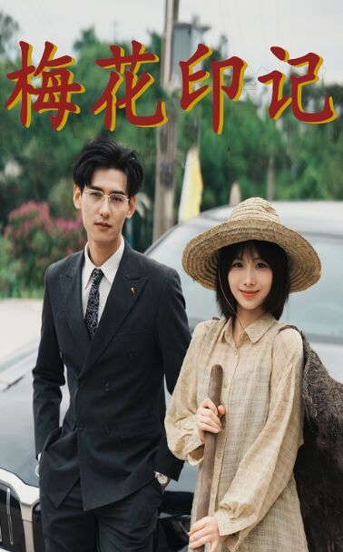 梅花印记封面