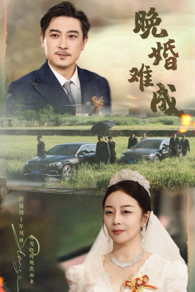 晚婚难成封面