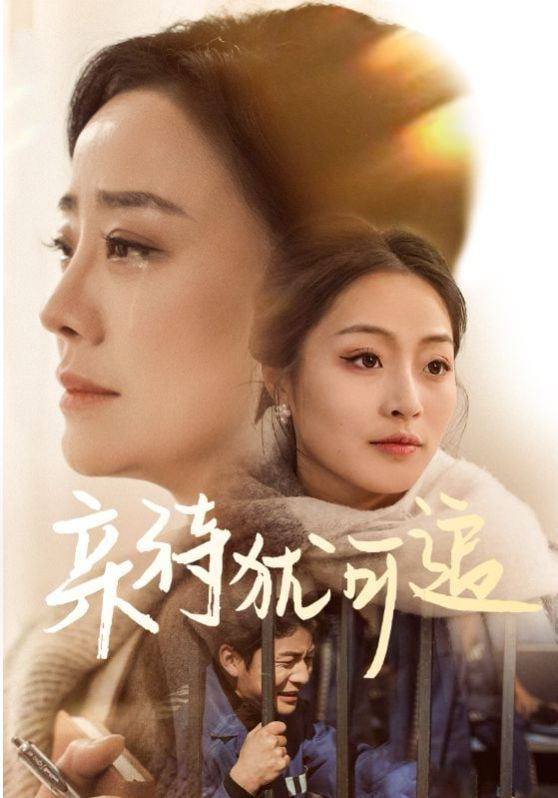 亲待犹可追封面