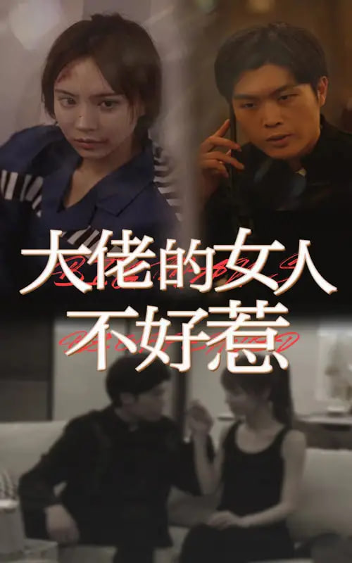 大佬女人不好惹封面