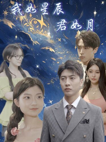 我如星辰君如月封面