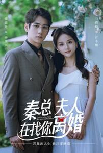 秦总，夫人在找你离婚封面