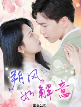 朔风有解意封面