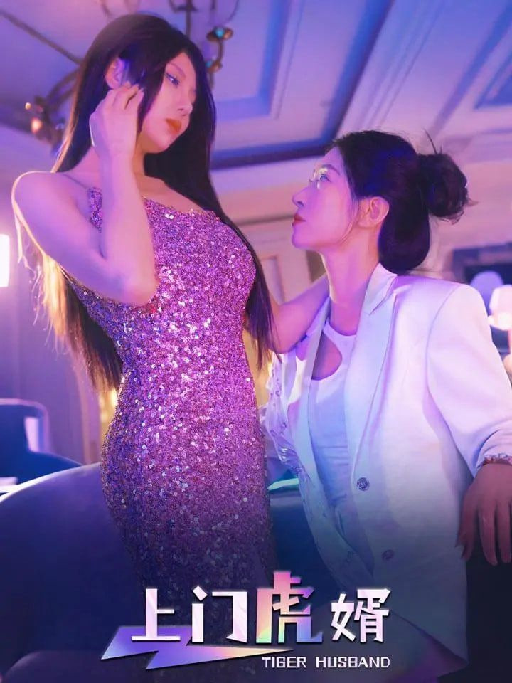 上门虎婿封面