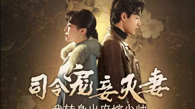 司令宠妾灭妻，我转身出府嫁少帅封面