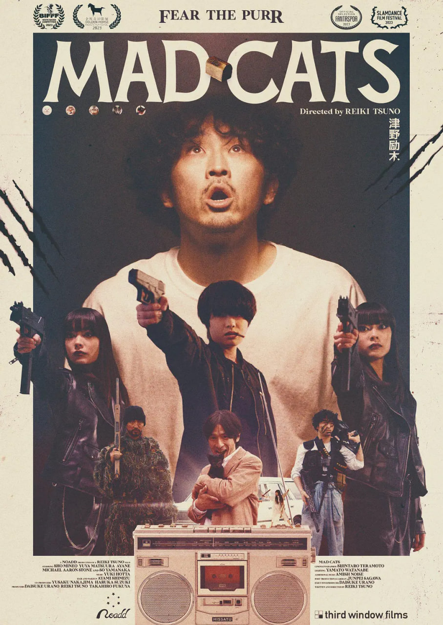 猫无赦封面