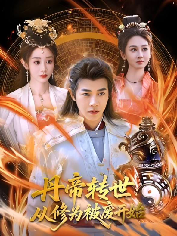 丹帝转世：从修为被废开始封面