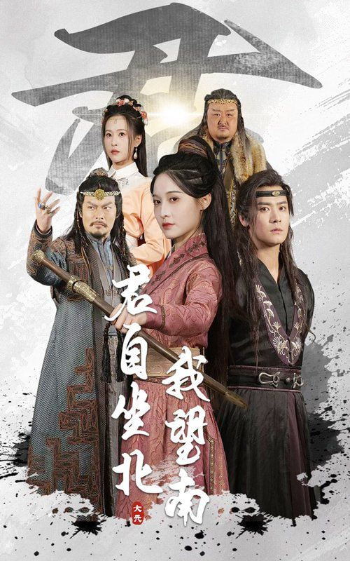 君自坐北我望南（我自迎风向故）封面