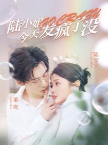 陆小姐今天发疯了没封面