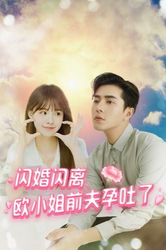 闪婚闪离欧小姐前夫孕吐了封面