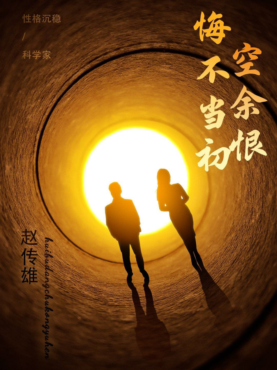 悔不当初空余恨封面