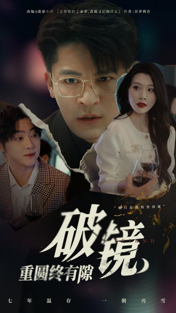 破镜重圆终有隙封面