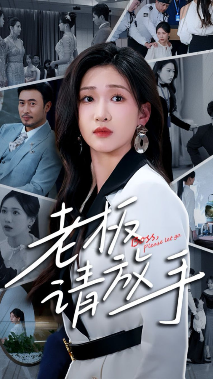 老板请放手封面