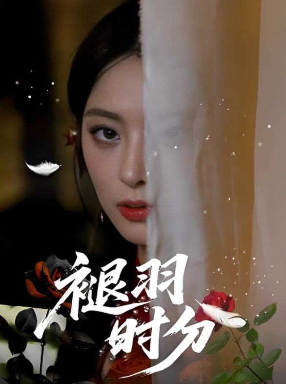褪羽时分封面