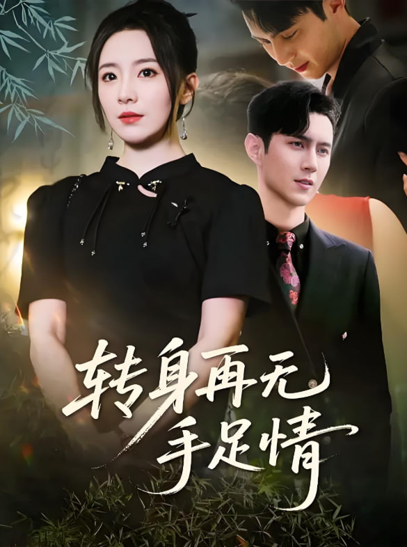 转身再无手足情封面