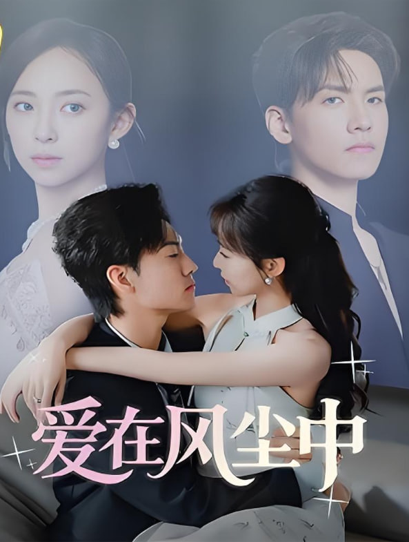 爱在风尘中封面