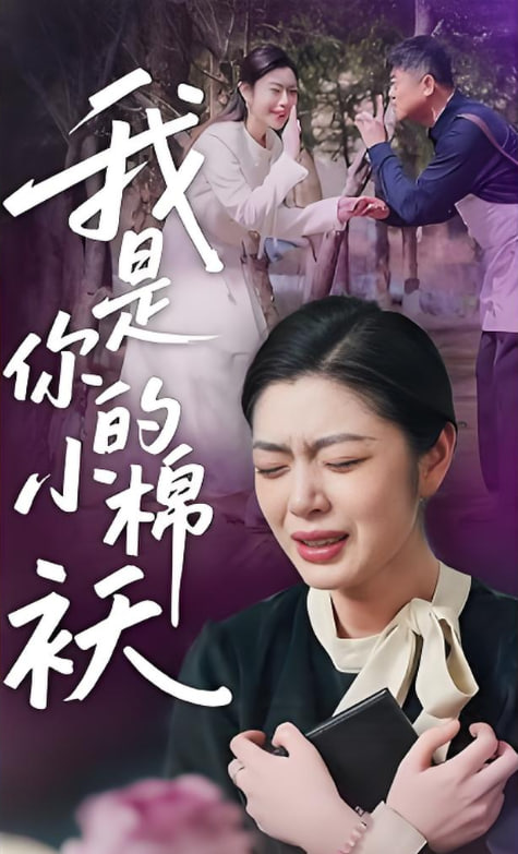 我家的小棉袄（我是你的小棉）封面