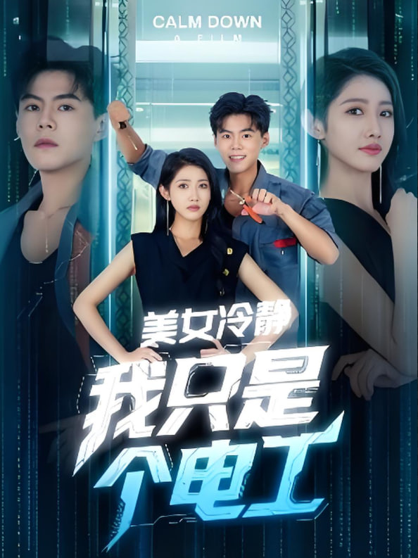 美女冷静我只是个电工封面