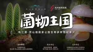 菌物王国封面