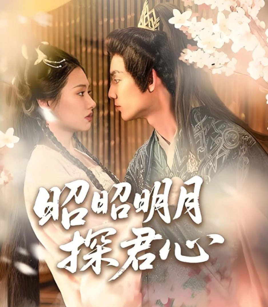 昭昭明月探君心封面