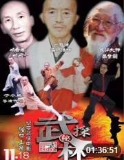 武林探秘封面