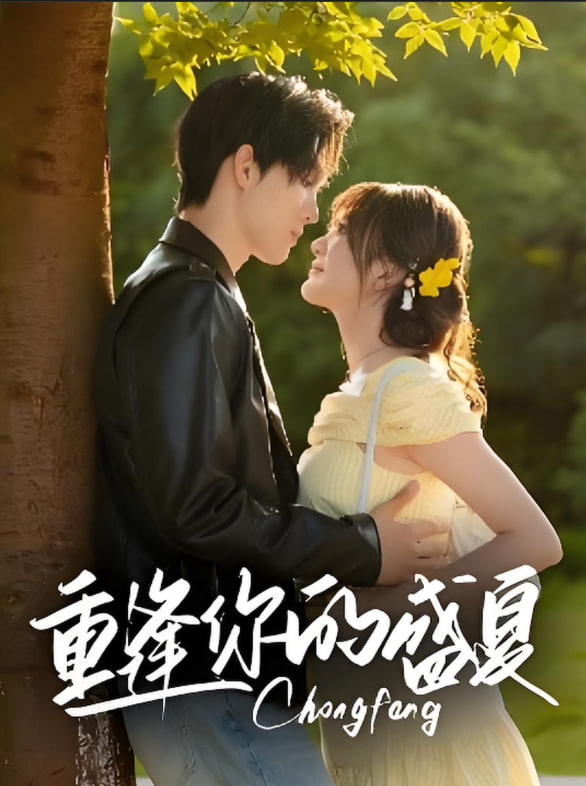 重逢你的盛夏封面