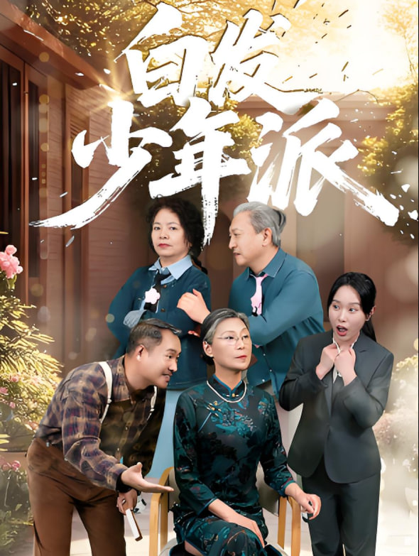 白发少年派封面