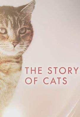猫科动物的故事封面