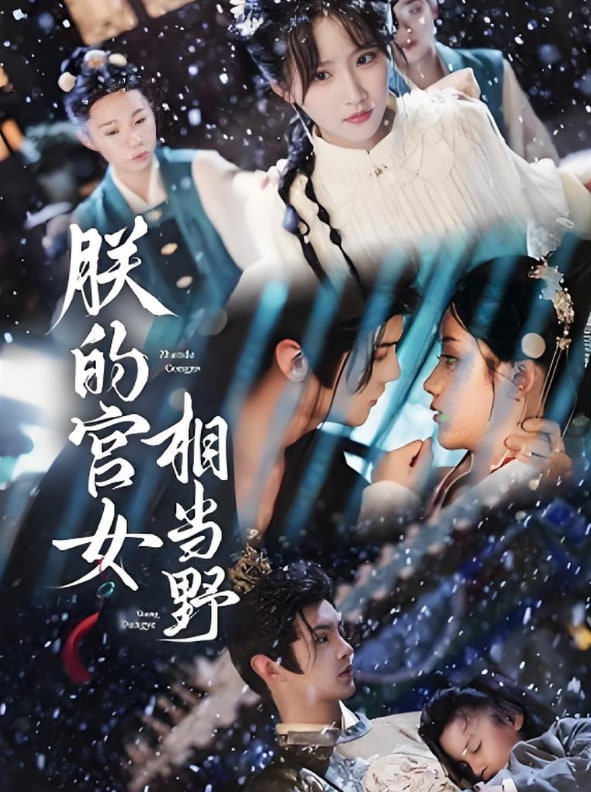 朕的宫女相当野封面