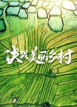 决战美丽乡村封面