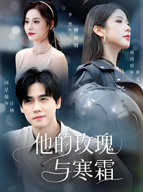 他的玫瑰与寒霜封面