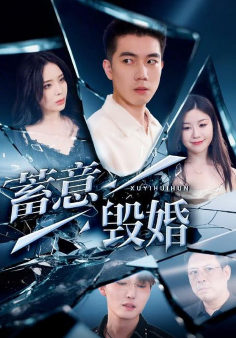 蓄意毁婚封面