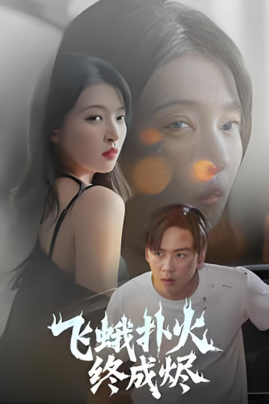 飞蛾扑火终成烬封面