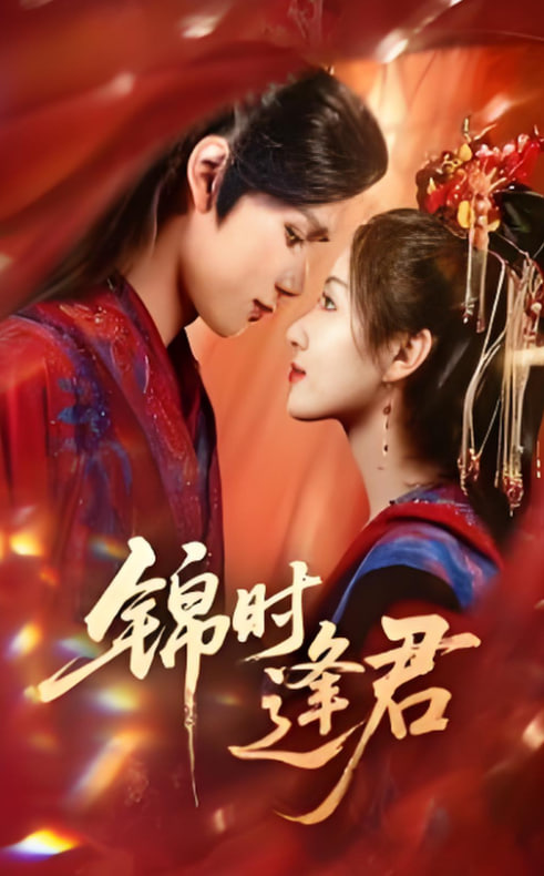 锦时逢君封面