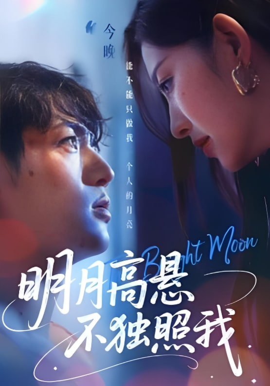 明月高悬不独照我封面