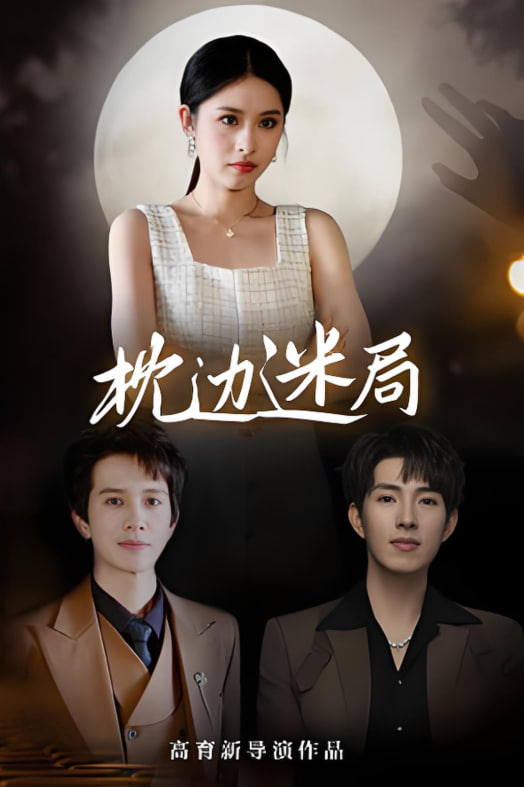 枕边迷局封面