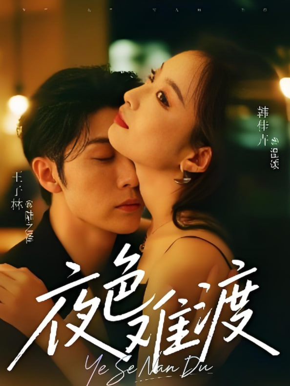 夜色难渡封面