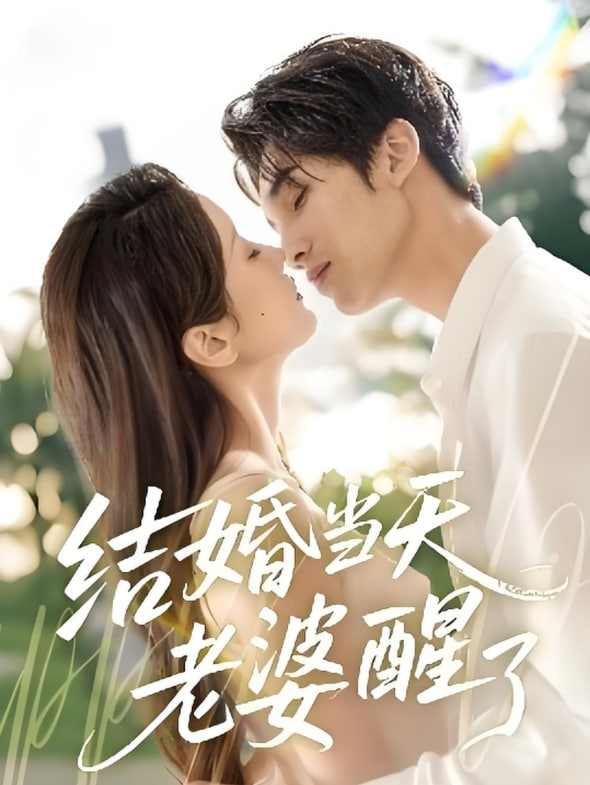 结婚当天老婆醒了封面