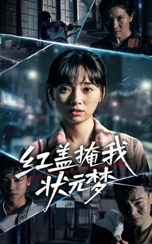 红盖掩我状元梦封面