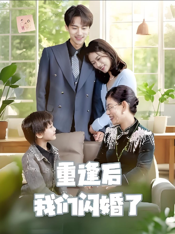重逢后我们闪婚了封面
