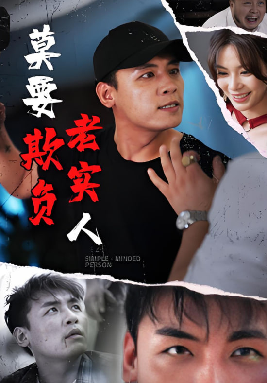 莫要欺负老实人封面