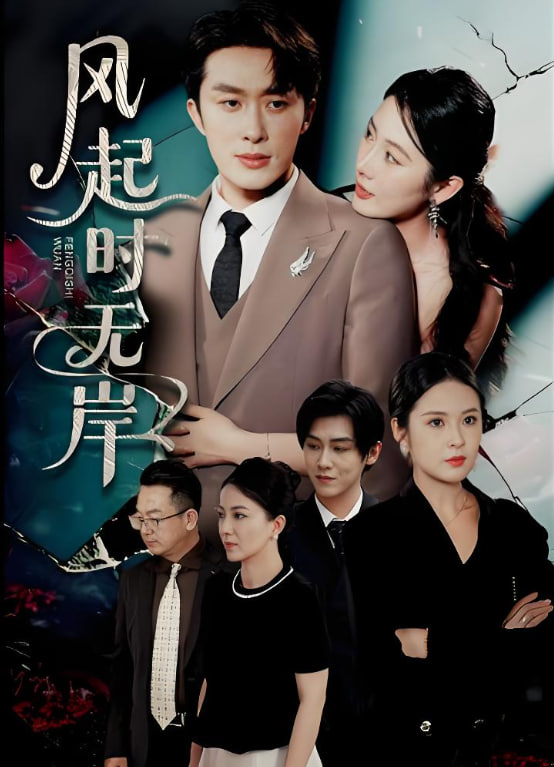 风起时无岸封面