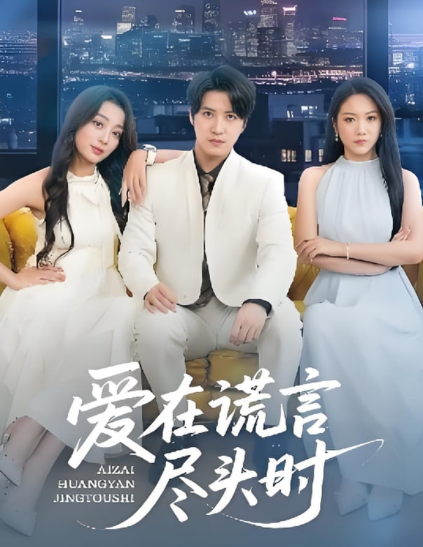 爱在谎言尽头时封面