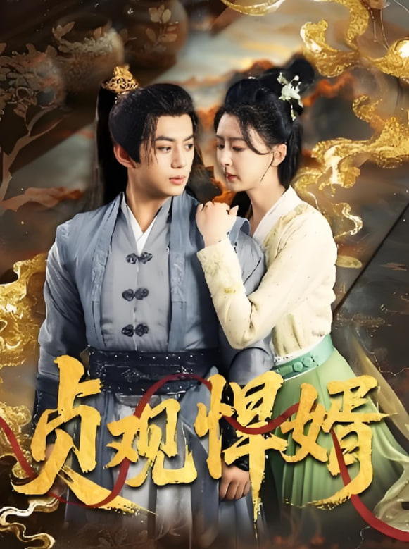 贞观悍婿封面