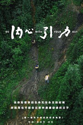 内心引力封面