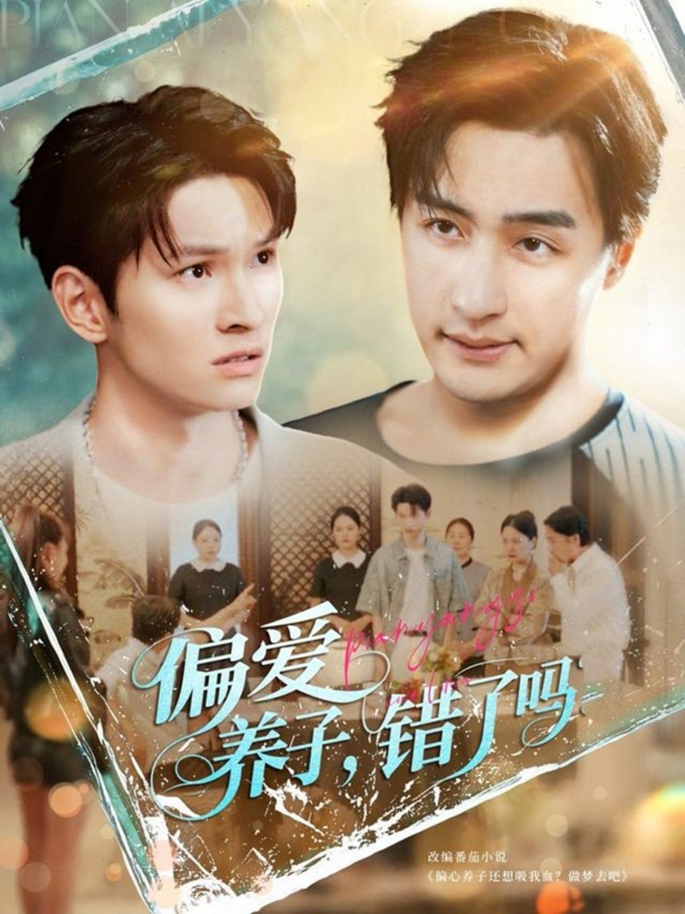 偏爱养子，错了吗封面